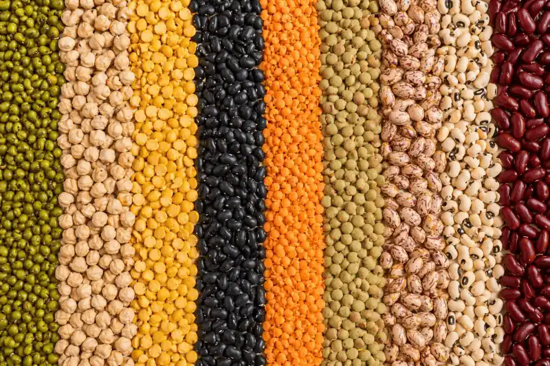 Pulses & Legumes
