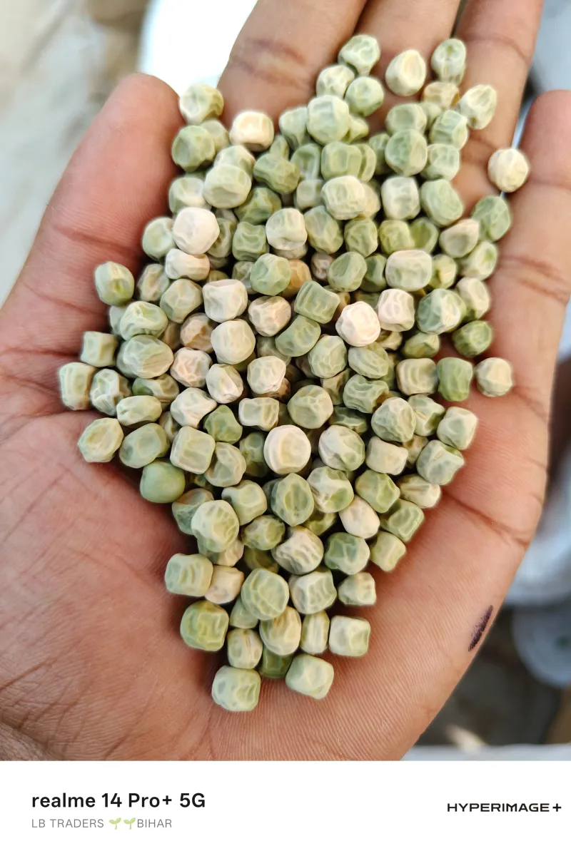 Green Peas - Premium Quality Grain