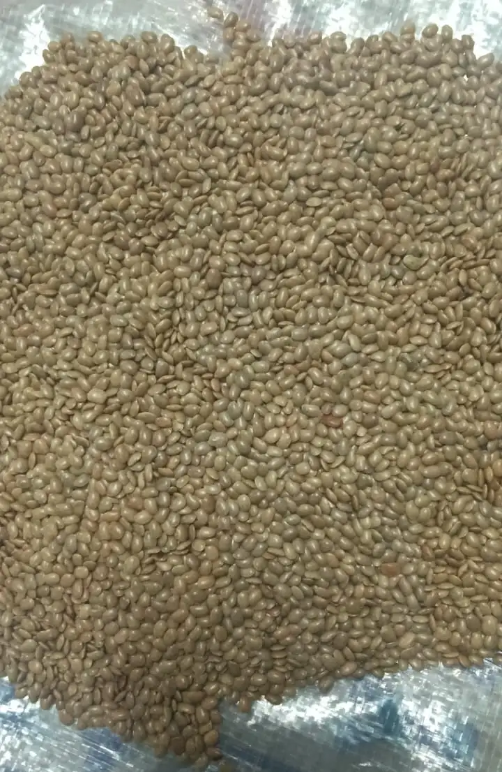 Black Gram (Urad) - Kulthi 