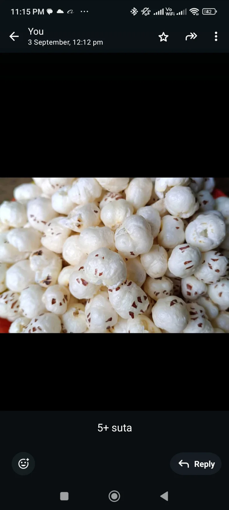 Raw Makhana (Foxnut) - 5+ suta
