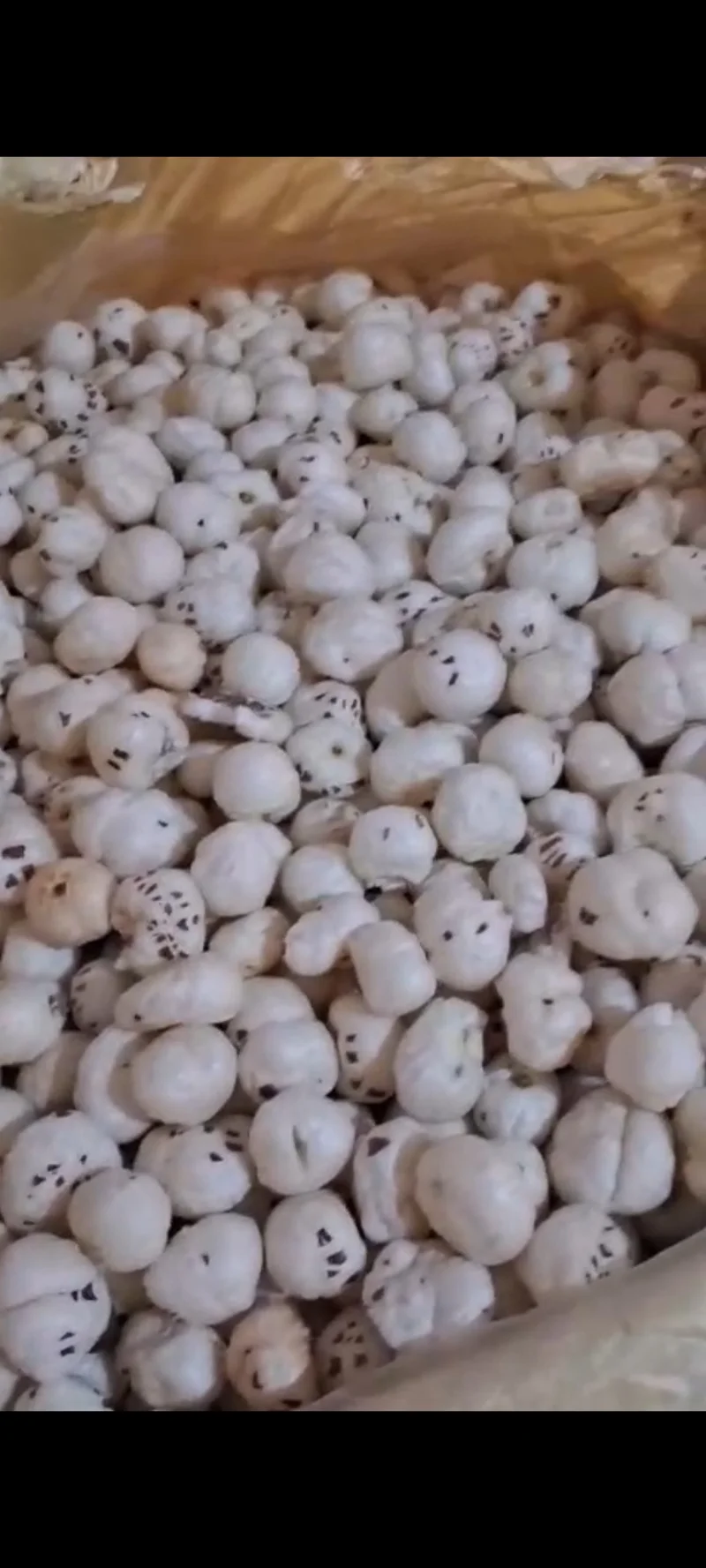 Raw Makhana (Foxnut)