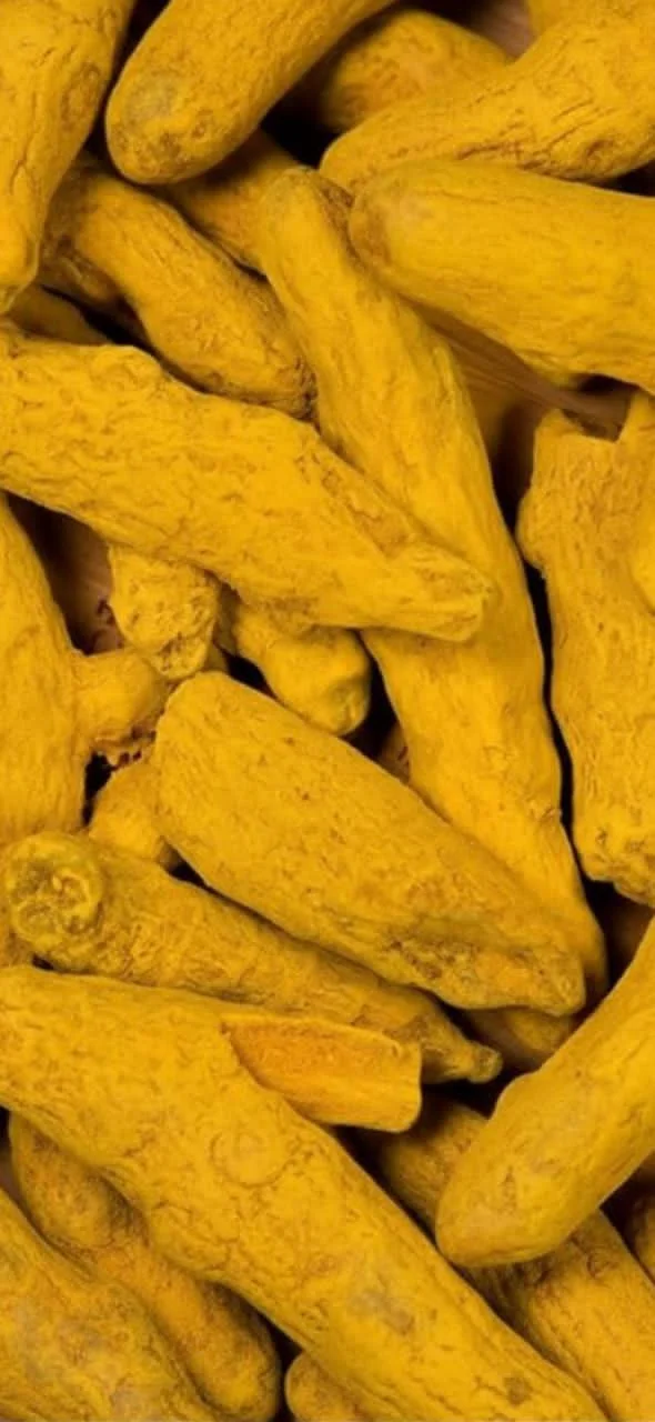 Turmeric - Good Quality Cleaned Grains