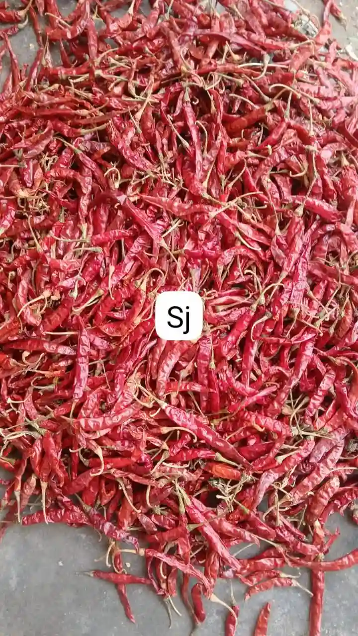 Red Chilli - Premium Quality Chilli